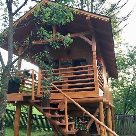 Willa Domeniul Horj Casa Din Cires Moisei Zewnętrze zdjęcie
