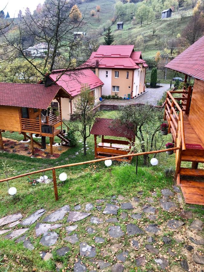 Willa Domeniul Horj Casa Din Cires Moisei Zewnętrze zdjęcie