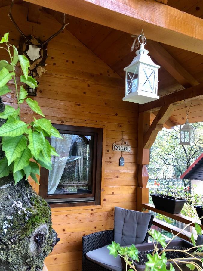 Willa Domeniul Horj Casa Din Cires Moisei Zewnętrze zdjęcie