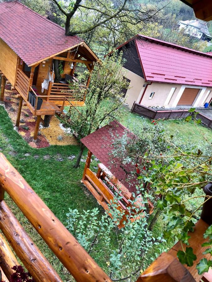 Willa Domeniul Horj Casa Din Cires Moisei Zewnętrze zdjęcie
