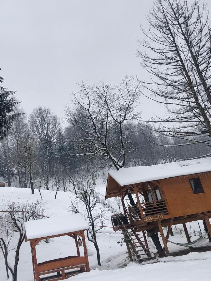Willa Domeniul Horj Casa Din Cires Moisei Zewnętrze zdjęcie