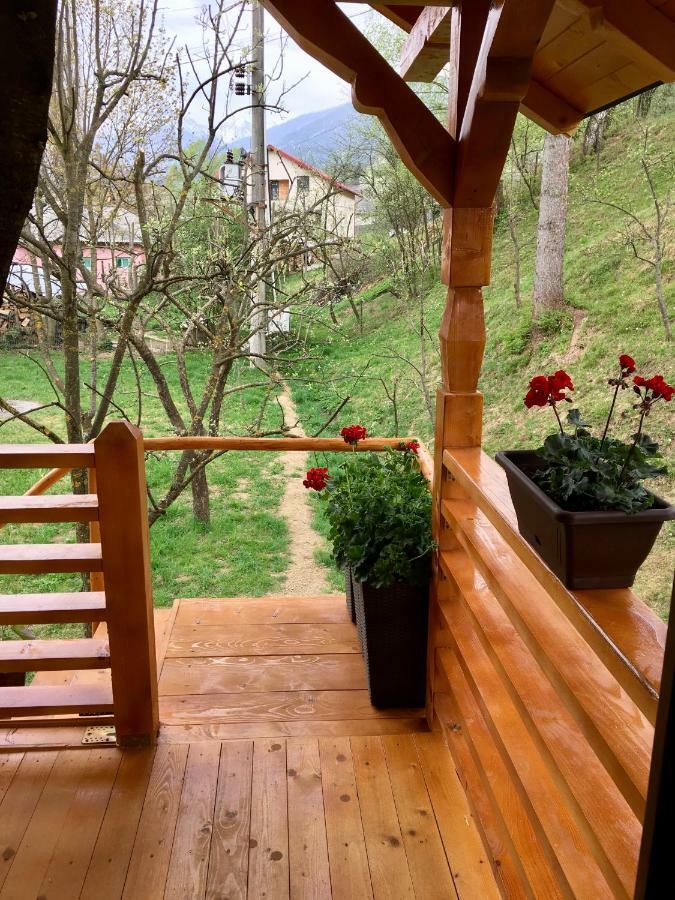 Willa Domeniul Horj Casa Din Cires Moisei Zewnętrze zdjęcie