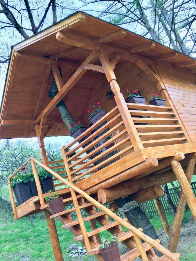 Willa Domeniul Horj Casa Din Cires Moisei Zewnętrze zdjęcie
