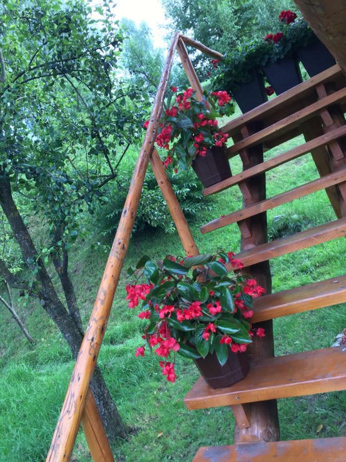 Willa Domeniul Horj Casa Din Cires Moisei Zewnętrze zdjęcie